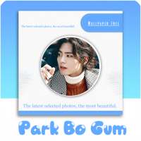 Park Bo Gum - New Idol Wallpaper on 9Apps