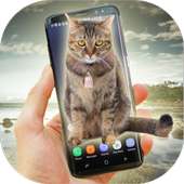 Cat on Phone on 9Apps