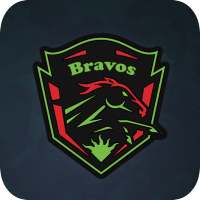 Bravos Fan