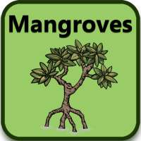 Mangroves - Identification Kit