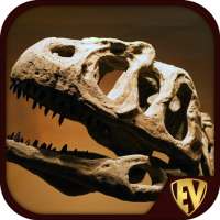 Palaeontology Dictionary - Fossil Discovery Guide on 9Apps