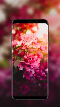Flower Wallpapers in HD, 4K APK Download 2023 - Free - 9Apps