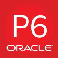 Oracle Primavera P6 EPPM on 9Apps