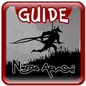 Guide for Ninja Arashi