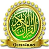 Quran Warsh القرآن الكريم ورش on 9Apps