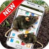 Mouse On Screen - Funny Prank on 9Apps