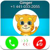 Call From Talking Ginger