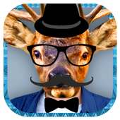 Animal Hipster Sticker Face on 9Apps