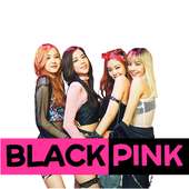 Special Black Pink Music Video on 9Apps