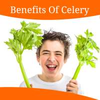 Health Benefits Of Celery on 9Apps
