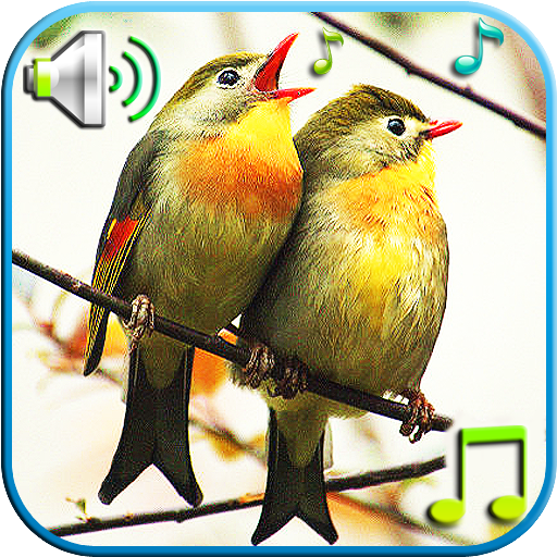 الطيور الأصوات والنغمات أيقونة