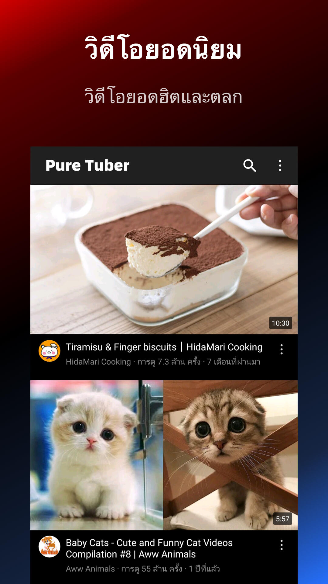 Pure Tuber-บล็อกโฆษณาของวิดีโอ screenshot 5