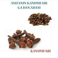 Amfanin Kanumfari Ga Dan Adam on 9Apps