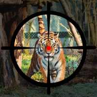Jungle Hunter - Animal Hunting Shooting Games