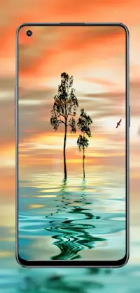 Oppo A95 wallpaper là điểm nhấn cho màn hình điện thoại của bạn, mang lại những hình ảnh đẹp mắt và sáng tạo. Hãy khám phá ngay bộ sưu tập hình nền Oppo A95 và tìm cho mình bức ảnh hoàn hảo nhất! Translation: Oppo A95 wallpaper is the highlight of your phone\'s screen, bringing beautiful and creative images. Discover the Oppo A95 wallpaper collection now and find the perfect picture for yourself!