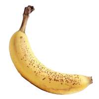 Banana Pests and Diseases on 9Apps
