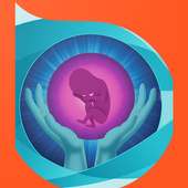 FetalMed | The Fetal Medicine Foundation on 9Apps