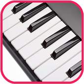 Mini Organ Piano