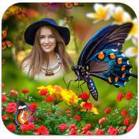 Butterfly Photo Frames