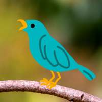 Bird Sounds - Nature Bird Calls & Ringtones