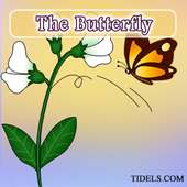 The Butterfly - for Kids