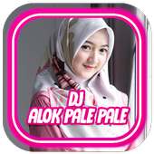 DJ Alok Pale Pale Full Remix offline   Bonus