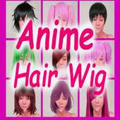 Anime Hair Wig