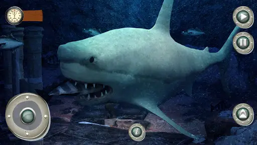 Download do APK de Shark World para Android
