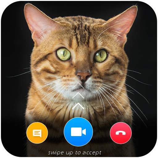 Cat Video Calling & Chat Simulator