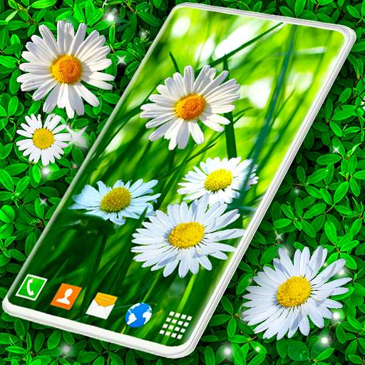 3D Daisy Live Wallpaper 🌼 Spring Field Themes
