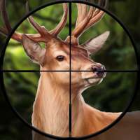 Deer Hunting Simulator 2021- Hunter shooting Games