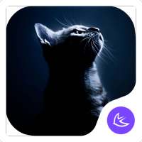 QUIET CAT-APUS Launcher theme