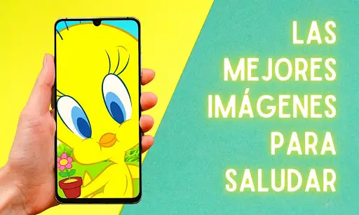 Descarga de la aplicación Buenos Días Piolín 2023 - Gratis - 9Apps Descarga de la aplicación Buenos Días Piolín 2023 - Gratis - 9Apps