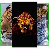 Animals Wallpapers on 9Apps