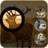 Jungle Animal Sniper Hunting Adventure 3D