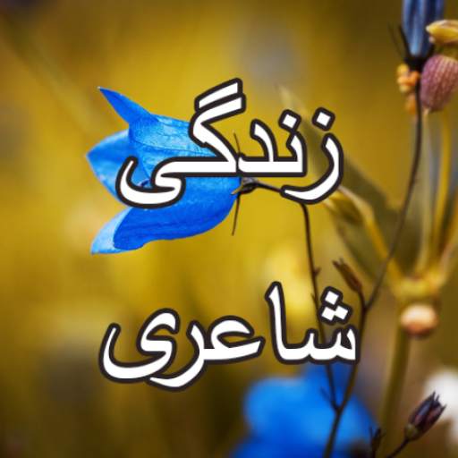 Zindagi Shayari Urdu - زندگی اردو شاعری
