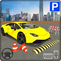 Advance Car Parking & Driving