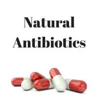 NATURAL ANTIBIOTICS - Kill All Infection Naturally on 9Apps