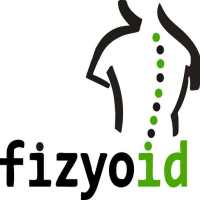 Fizyoid