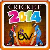 cricket 2014