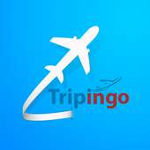 Tripingo -Cheap Flight Tickets & Hotel Booking