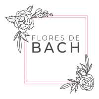 Bach Healing on 9Apps