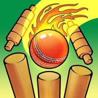 Cricket Bowling