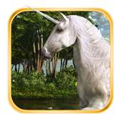 Hidden Object Magical Places