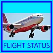Flight Status India