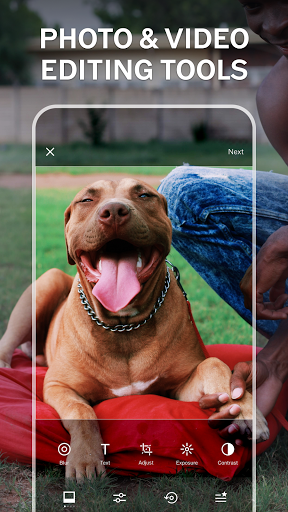 VSCO: Photo & Video Editor with Effects & Filters screenshot 3