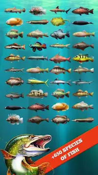 Let's Fish APK Download 2024 - Free - 9Apps