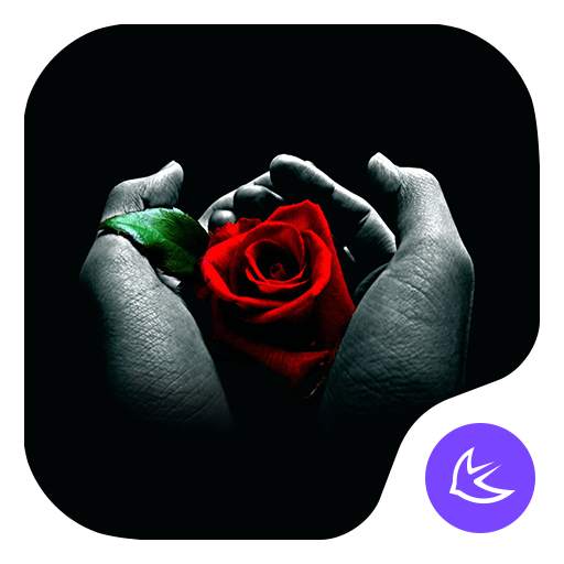 Rose|APUS Launcher theme