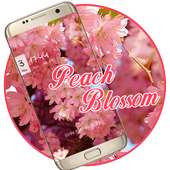 Pink Peach Blossom Theme on 9Apps