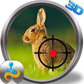 Wild Animal Rabbit Simulator